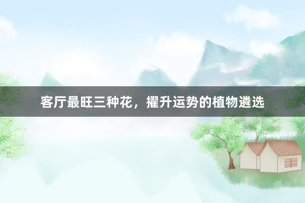 客厅最旺三种花，擢升运势的植物遴选