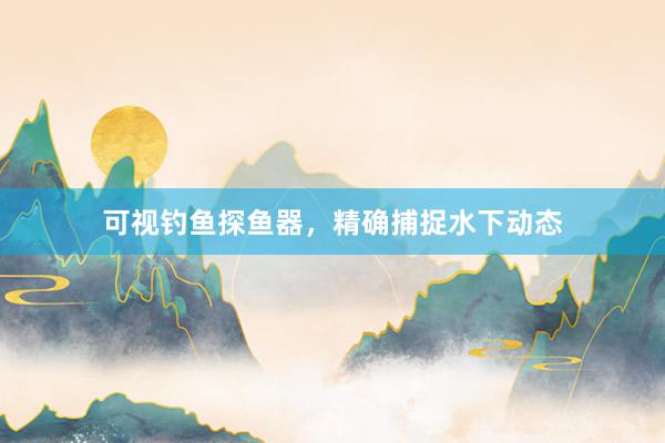 可视钓鱼探鱼器，精确捕捉水下动态