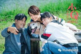 小q电影在线观看免费