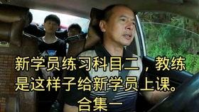 虎门科目二考试视频,实战视频解析与技巧揭秘