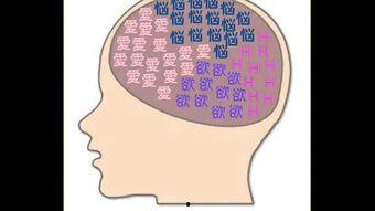 脑内障碍选项在线播放,在线播放带你探索大脑奥秘