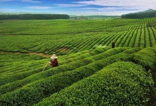 无码青山癸,探寻神秘癸水之奥秘